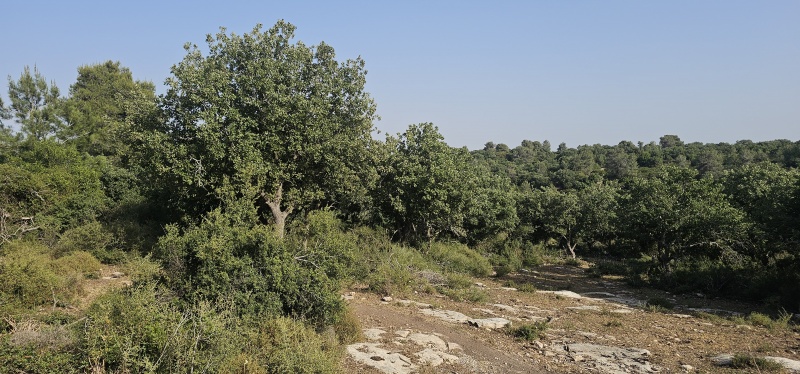 קובץ:2025-05-03T16 57 51.436857698790.jpg