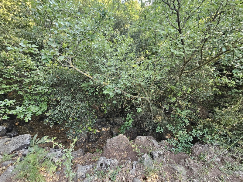 קובץ:2025-05-03T17 14 05.636294345187.jpg