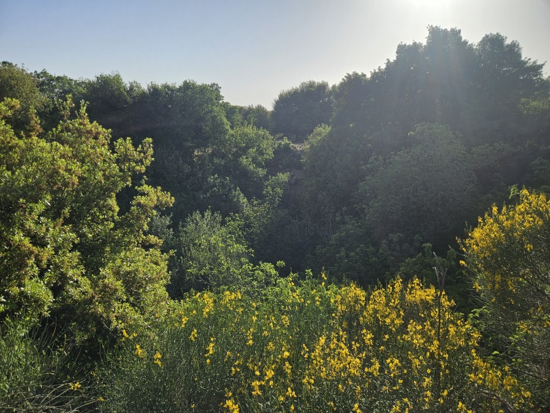 קובץ:2025-05-03T17 36 55.743809687812.jpg