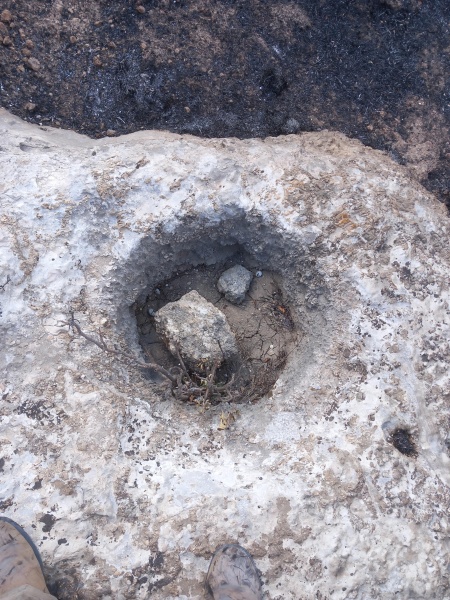 קובץ:2025-05-04T09 52 05.437359779765.jpg