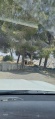 תמונה ממוזערת לגרסה מתאריך 08:55, 4 במאי 2025