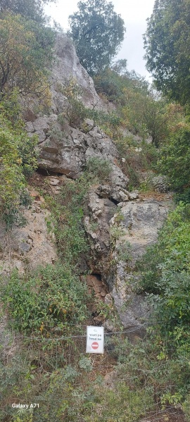קובץ:2025-05-04T12 38 21.328938660160.jpg
