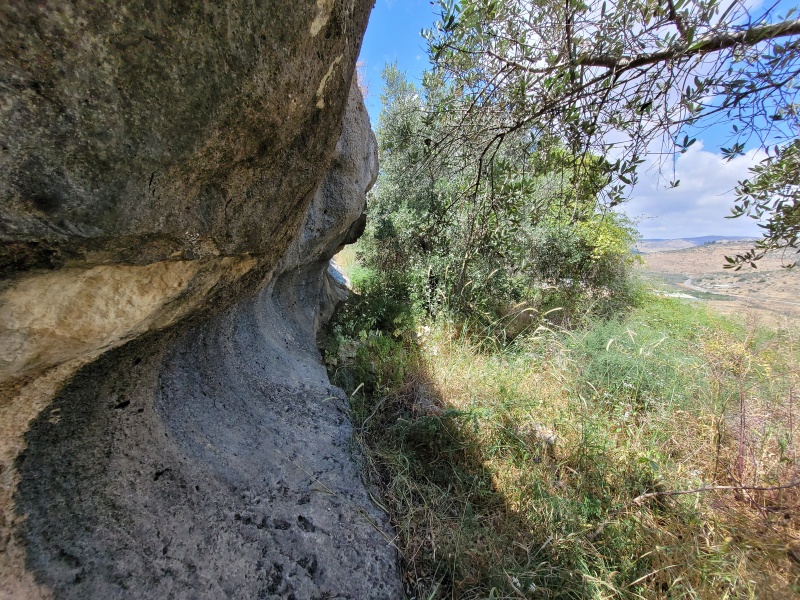 קובץ:2025-05-05T12 41 19.311844613500.jpg