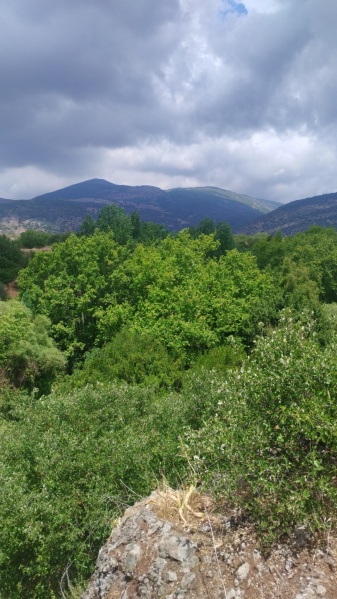 קובץ:2025-05-05T12 44 21.996608248522.jpg