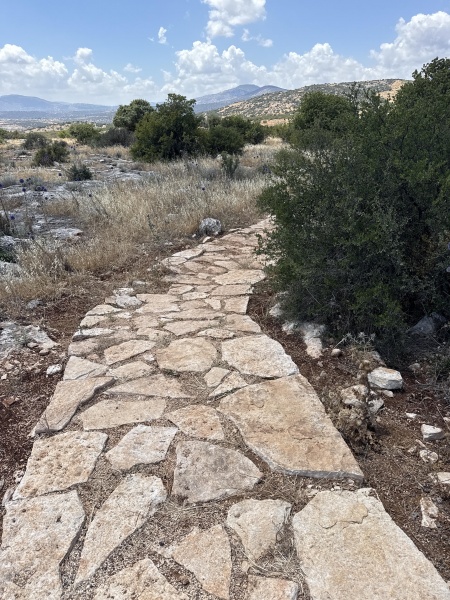 קובץ:2025-05-05T13 25 07.500074530744.jpg