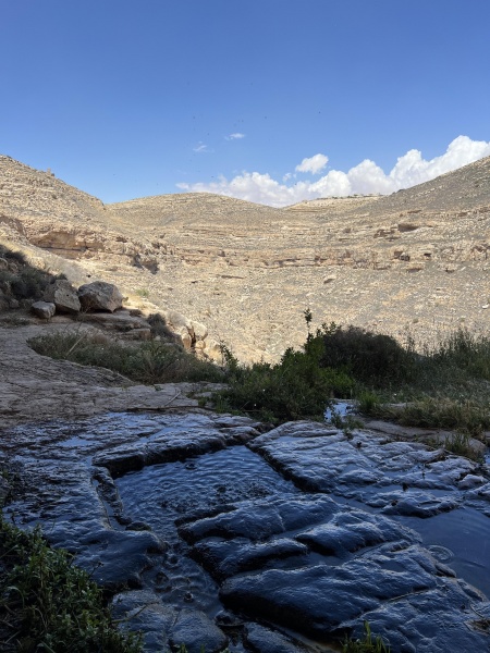 קובץ:2025-05-05T14 18 14.813647961664.jpg