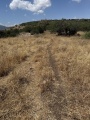 תמונה ממוזערת לגרסה מתאריך 10:58, 5 במאי 2025