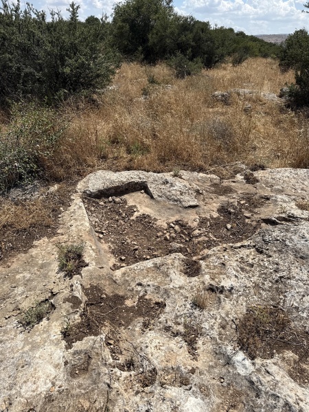 קובץ:2025-05-05T14 19 49.892820569245.jpg