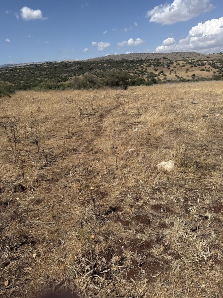 קובץ:2025-05-05T14 45 29.227817309269.jpg