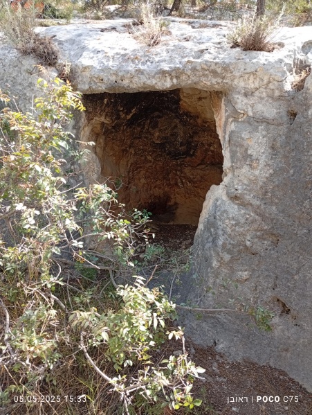 קובץ:2025-05-05T15 33 35.147732264830.jpg