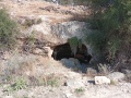 תמונה ממוזערת לגרסה מתאריך 16:47, 5 במאי 2025