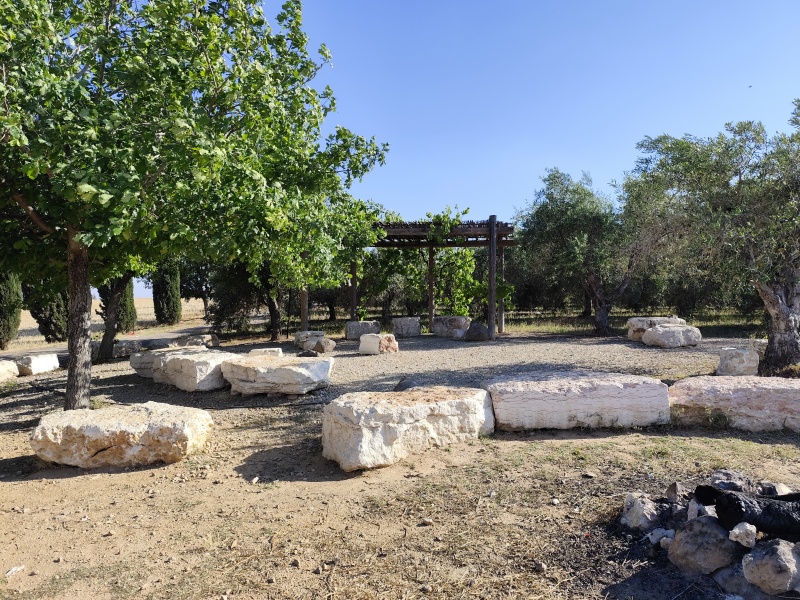 קובץ:2025-05-05T16 56 37.174444814501.jpg