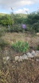 תמונה ממוזערת לגרסה מתאריך 15:00, 5 במאי 2025