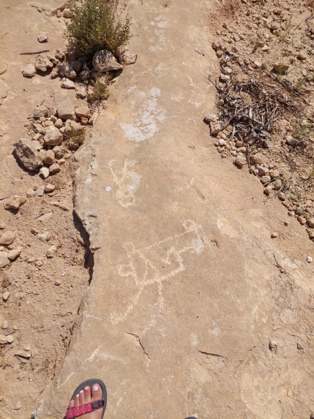 קובץ:2025-05-06T09 35 02.123469566683.jpg
