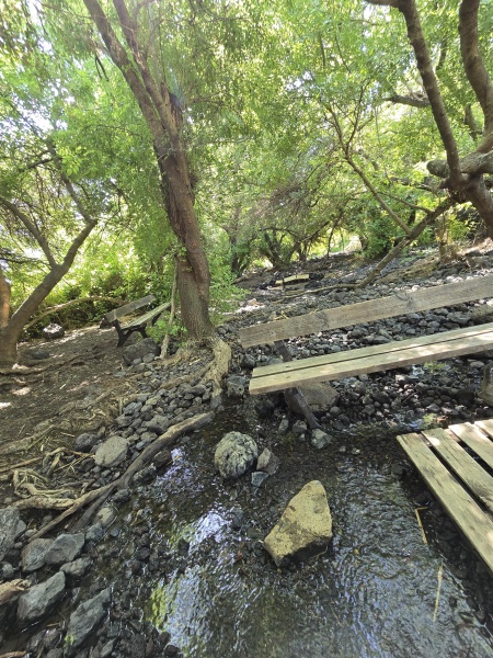 קובץ:2025-05-06T15 40 17.681188341395.jpg
