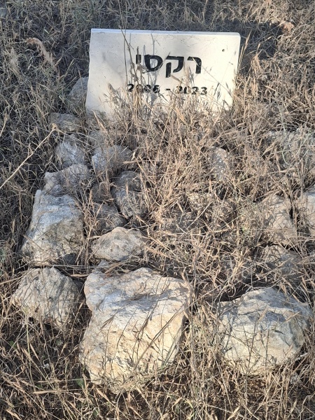 קובץ:2025-05-06T17 57 20.176557773084.jpg