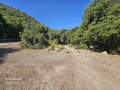 תמונה ממוזערת לגרסה מתאריך 07:09, 7 במאי 2025