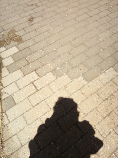 קובץ:2025-05-08T12 27 10.174157694029.jpg