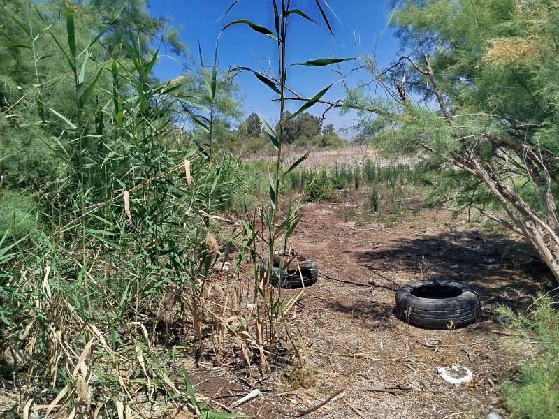 קובץ:2025-05-08T12 41 57.899929834663.jpg