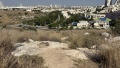 תמונה ממוזערת לגרסה מתאריך 12:43, 8 במאי 2025