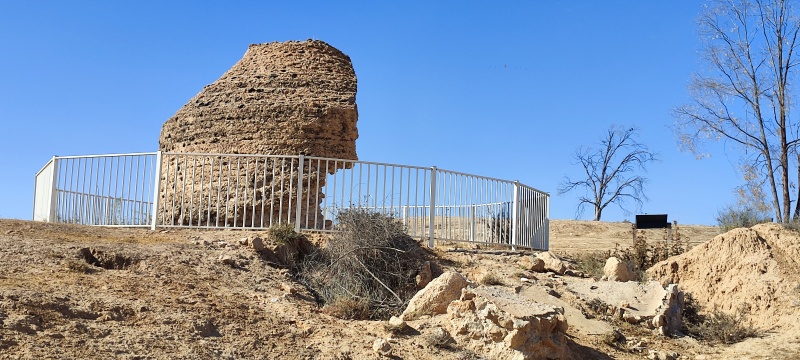 קובץ:2025-05-08T16 44 00.73262956959.jpg