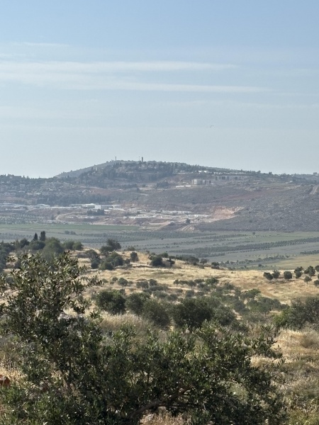 קובץ:2025-05-08T16 49 22.115444517578.jpg