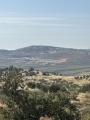 תמונה ממוזערת לגרסה מתאריך 13:28, 8 במאי 2025