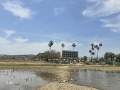 תמונה ממוזערת לגרסה מתאריך 10:35, 10 במאי 2025
