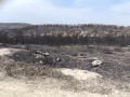 תמונה ממוזערת לגרסה מתאריך 12:29, 10 במאי 2025