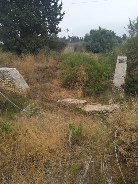 קובץ:2025-05-11T07 23 51.36483874188.jpg