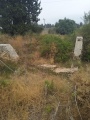 תמונה ממוזערת לגרסה מתאריך 02:53, 13 במאי 2025