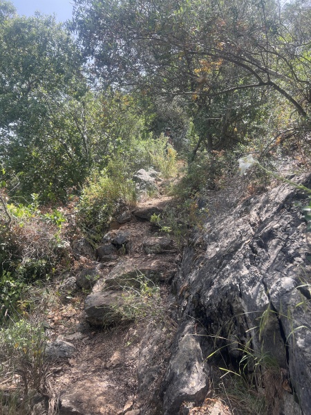 קובץ:2025-05-11T10 42 59.995509237584.jpg