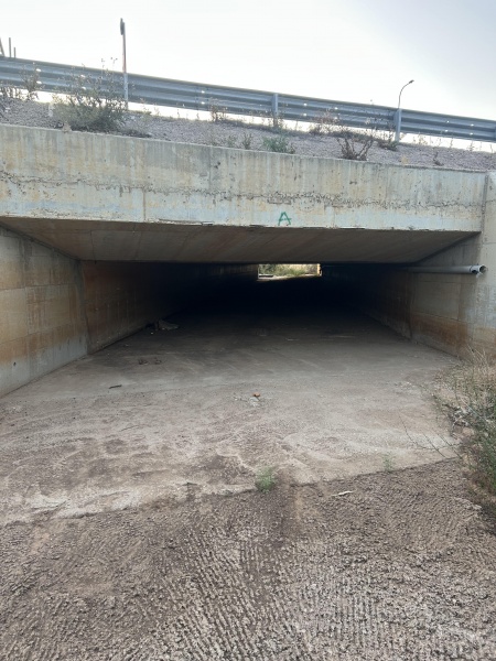 קובץ:2025-05-11T19 38 10.100928285553.jpg