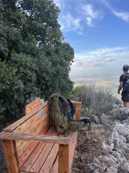 קובץ:2025-05-12T18 08 25.718039379133.jpg