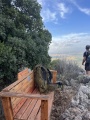 תמונה ממוזערת לגרסה מתאריך 14:47, 12 במאי 2025