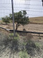 תמונה ממוזערת לגרסה מתאריך 17:20, 14 במאי 2025
