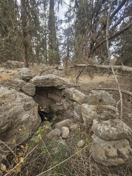 קובץ:2025-05-13T11 18 37.982824104772.jpg