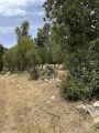 תמונה ממוזערת לגרסה מתאריך 17:24, 14 במאי 2025
