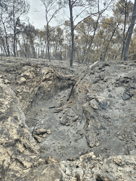 קובץ:2025-05-13T12 23 49.54415625752.jpg