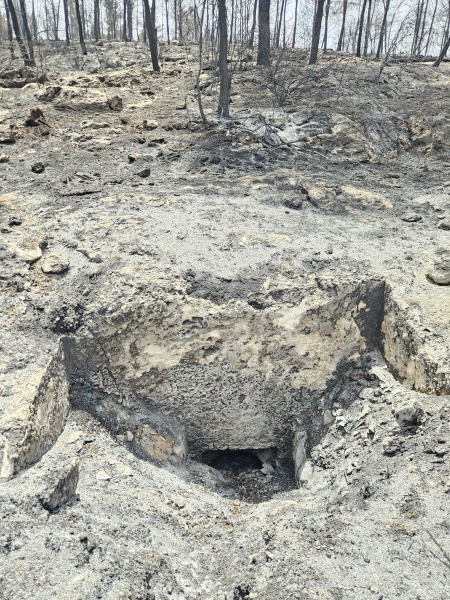 קובץ:2025-05-13T13 52 30.035975263178.jpg