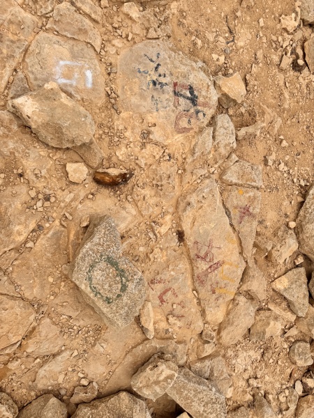 קובץ:2025-05-13T14 52 59.661534371325.jpg