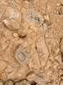 תמונה ממוזערת לגרסה מתאריך 18:19, 14 במאי 2025