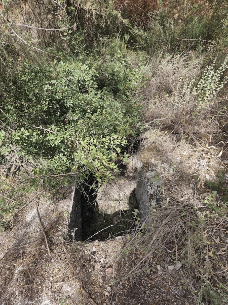 קובץ:2025-05-13T15 32 41.193913837859.jpg