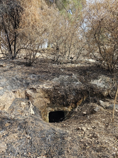 קובץ:2025-05-13T16 44 41.577118973177.jpg