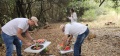 תמונה ממוזערת לגרסה מתאריך 19:20, 13 במאי 2025