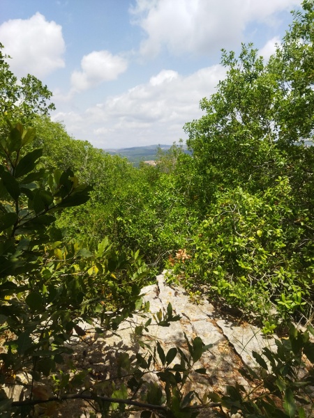 קובץ:2025-05-14T12 47 48.178577109367.jpg