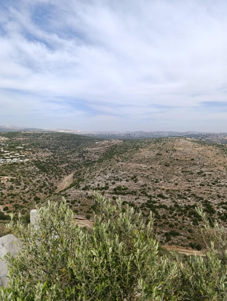 קובץ:2025-05-15T16 08 06.107918590098.jpg