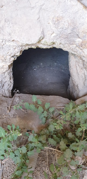 קובץ:2025-05-16T12 56 53.552199601320.jpg