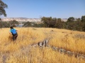 תמונה ממוזערת לגרסה מתאריך 12:07, 16 במאי 2025