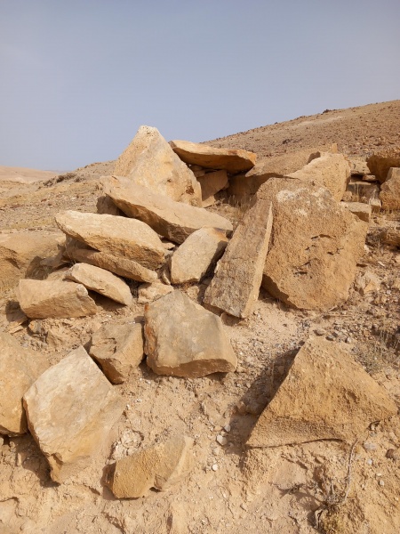קובץ:2025-05-17T09 12 25.189041407933.jpg